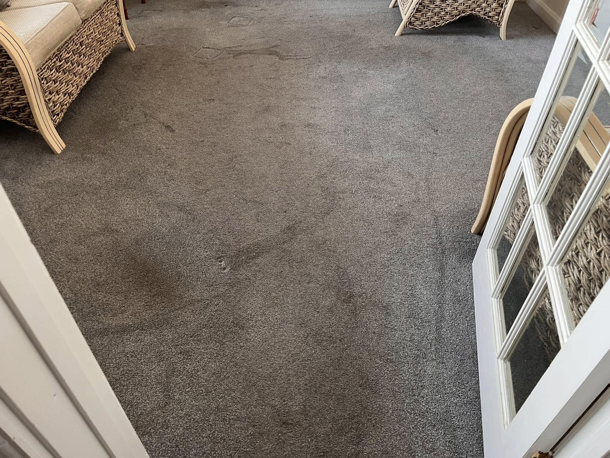 Carpet before professional cleaning