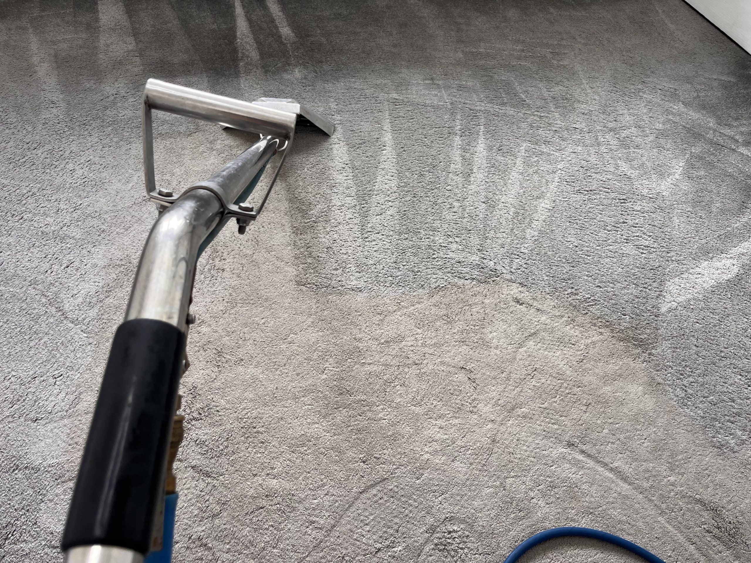 Professional carpet cleaning in progress in a Bristol home